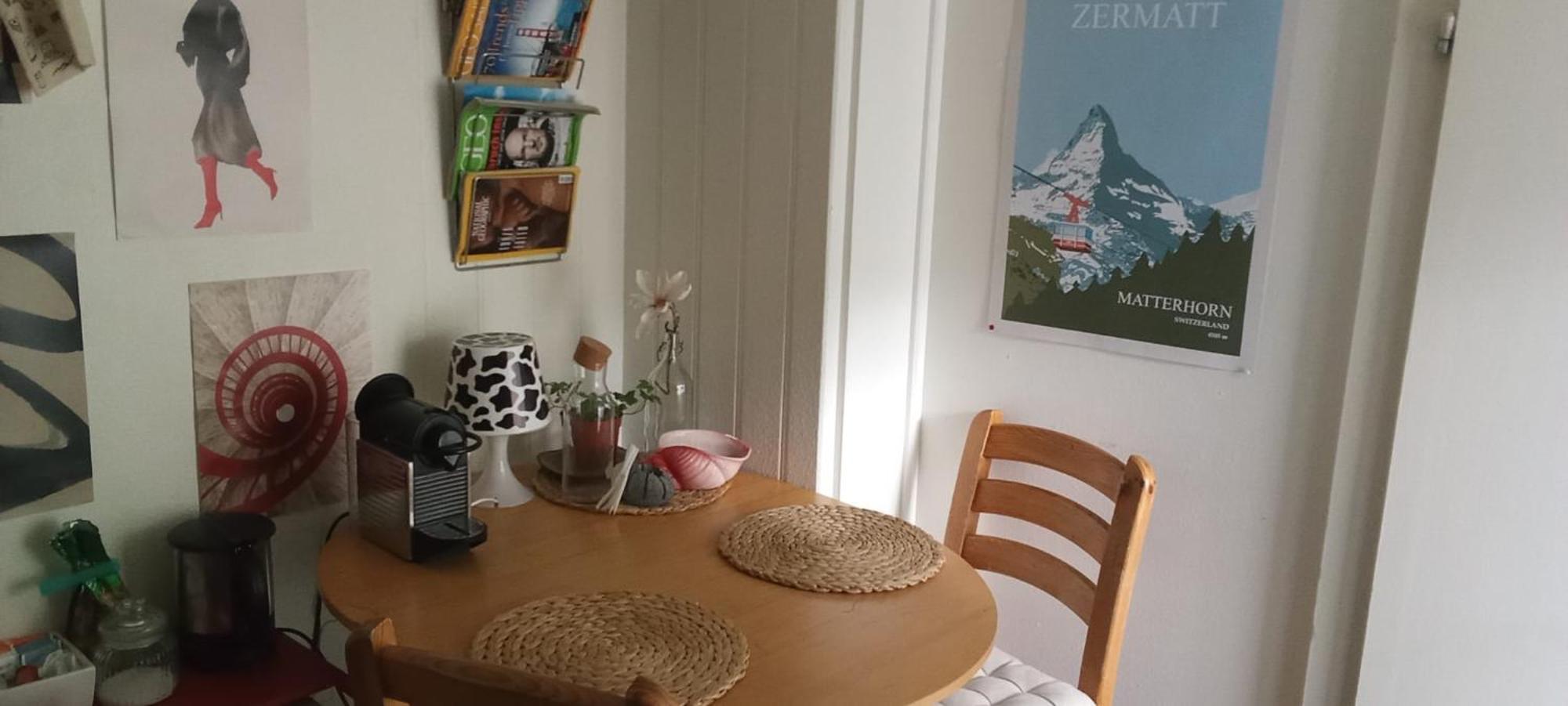 Tiny Flat Lejlighed Sankt Gallen Eksteriør billede